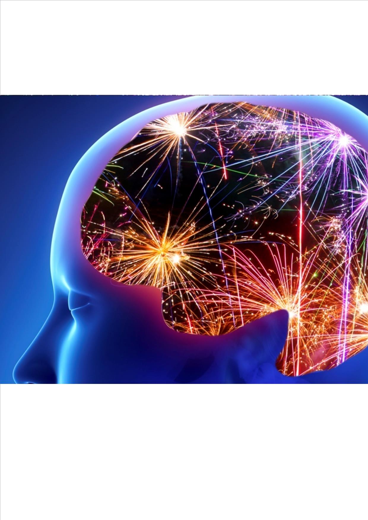 Brain Fireworks! – Hillview Christian School